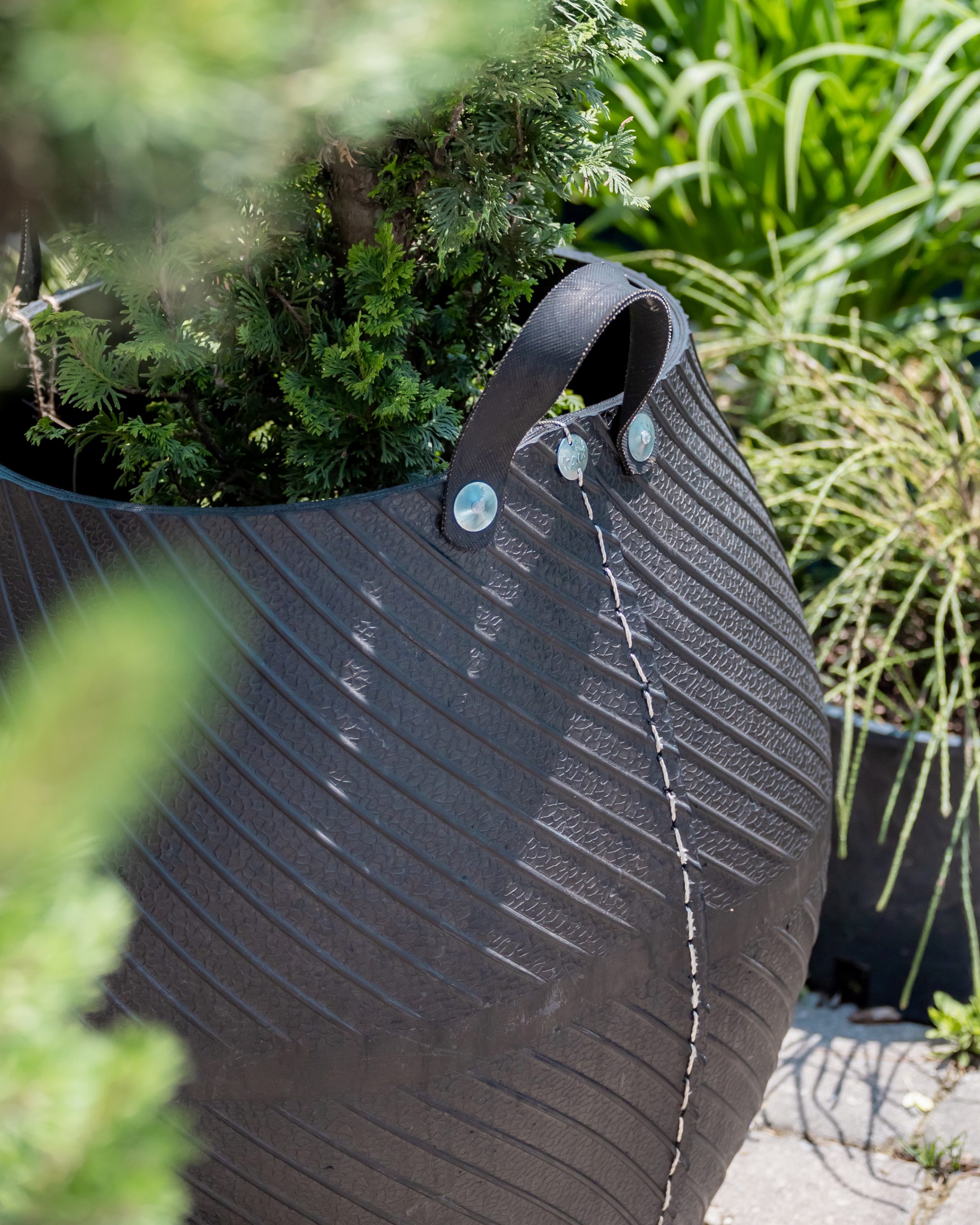 Solasta-Loc2-07-2160